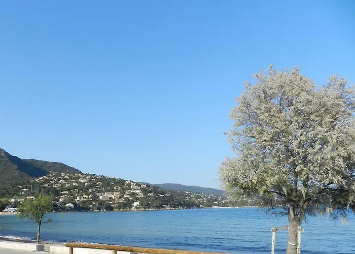 Les Pieds Dans L'eau ! Daire